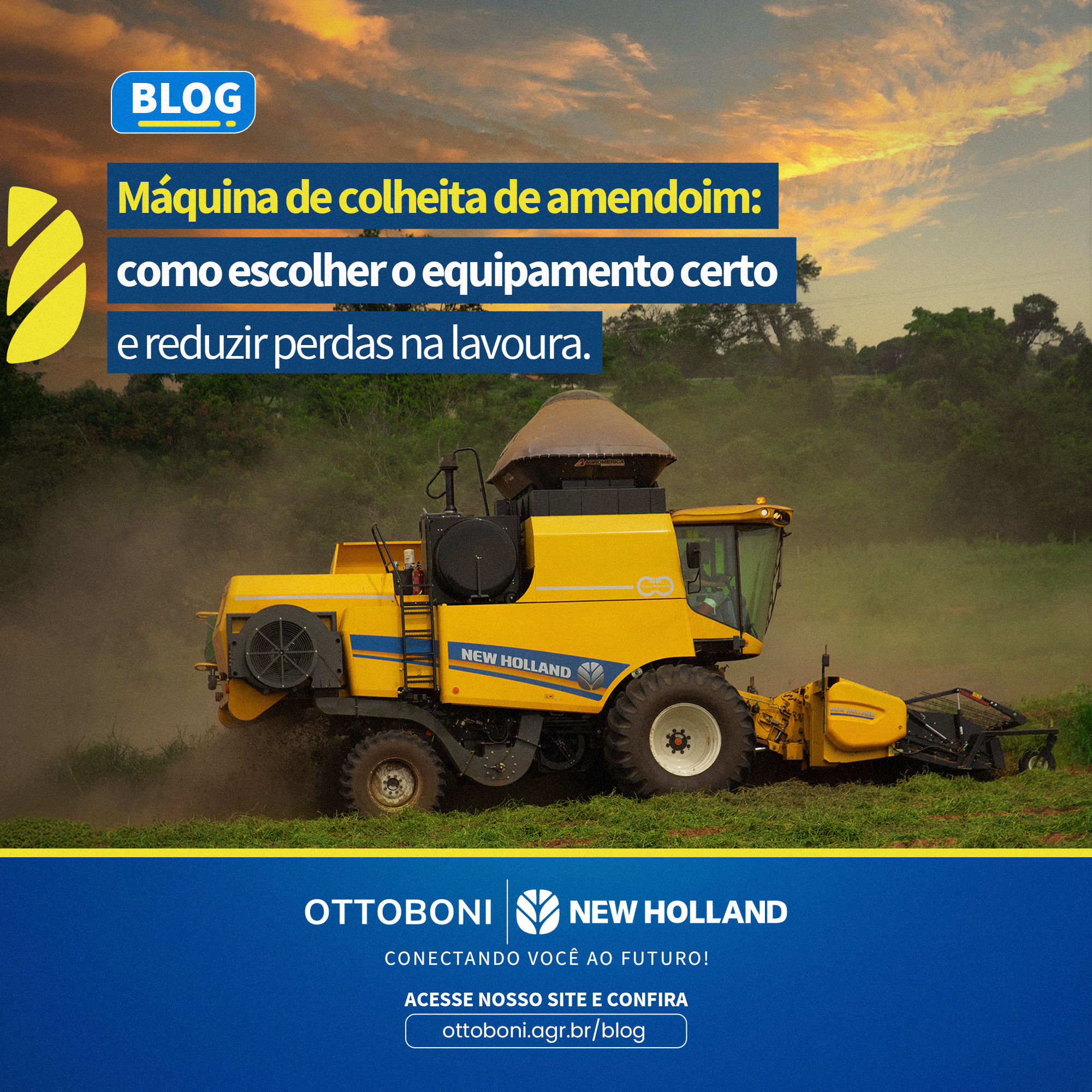 Máquina de Colheita de Amendoim: Como Escolher o Equipamento Certo e Reduzir Perdas na Lavoura